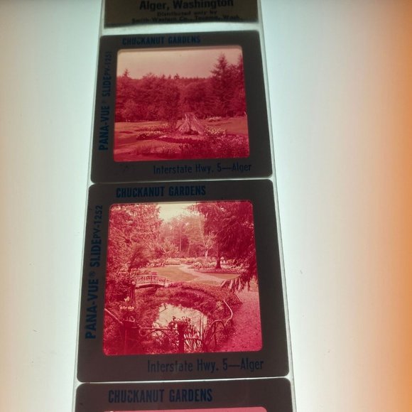 Vintage GAF Pana-Vue Slides Chuckanut Gardens Alger Washington Lot of 5 PV125 - Picture 8 of 10